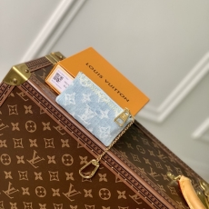 LV Clutch Bags